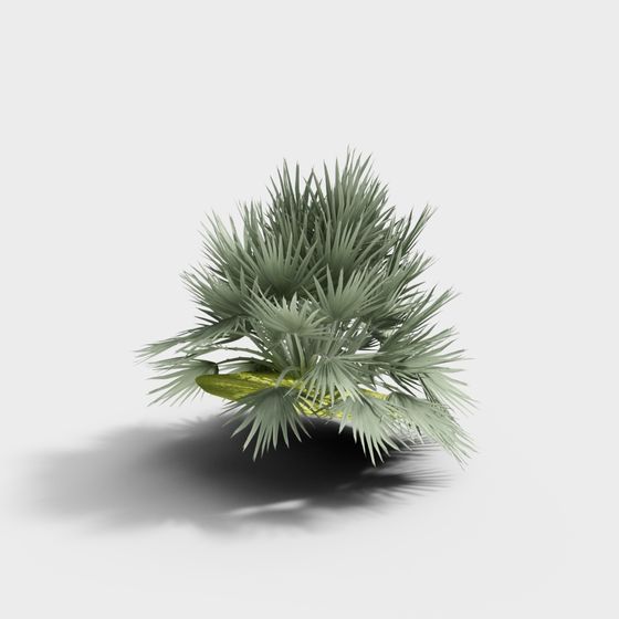 Vibrant Palm Tree 3D Model for Nature Projects