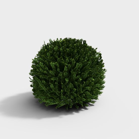 Lush Dome Shrub 3D Model for Vibrant Scenes