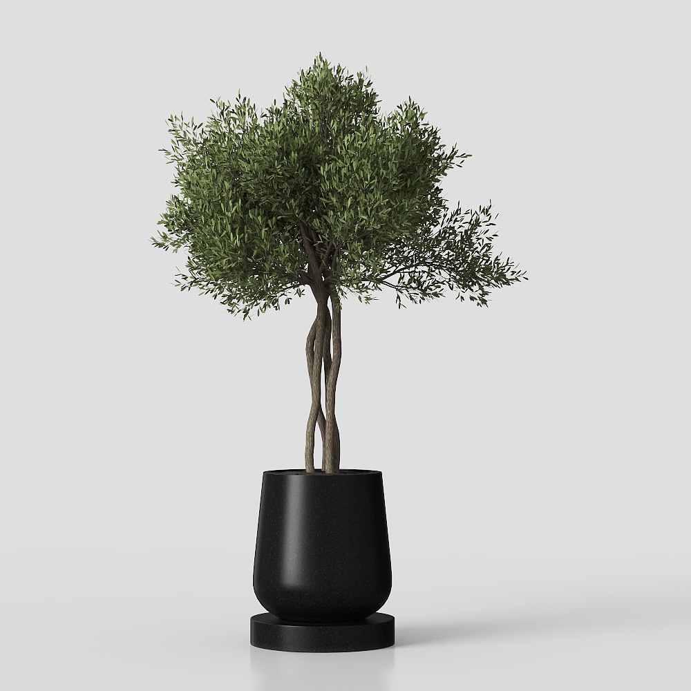 Cây màu xanh hiện đại