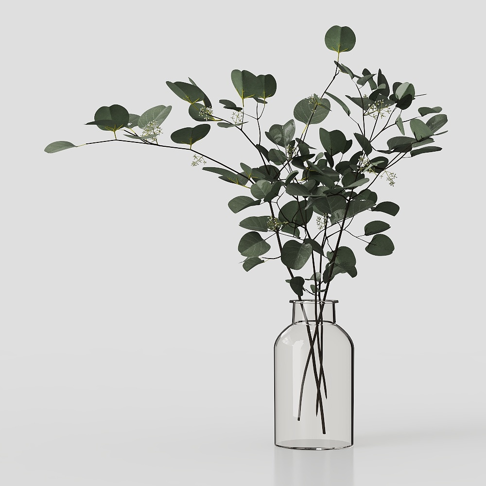 Vase green plants-wx