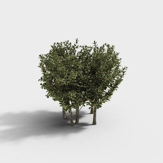 Heart of the Forest 3D model for Creative Projects