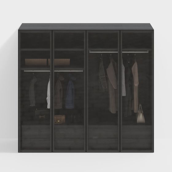 Minimalist Glass Wardrobe 3D model