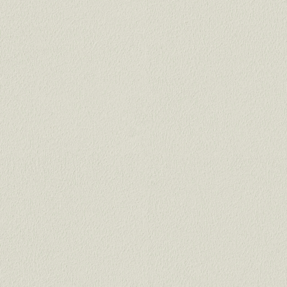 Powder Mist Matte _ MS-029 Cloud Mist