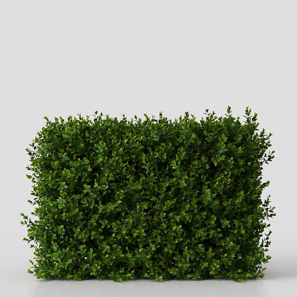 Bushes-YJ