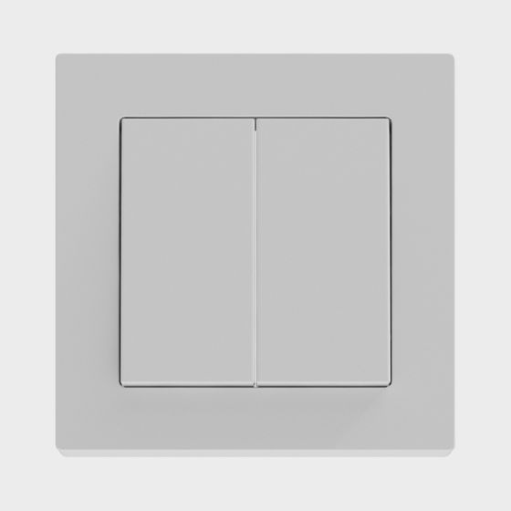 Minimalist Dual Switch Panel 3D model