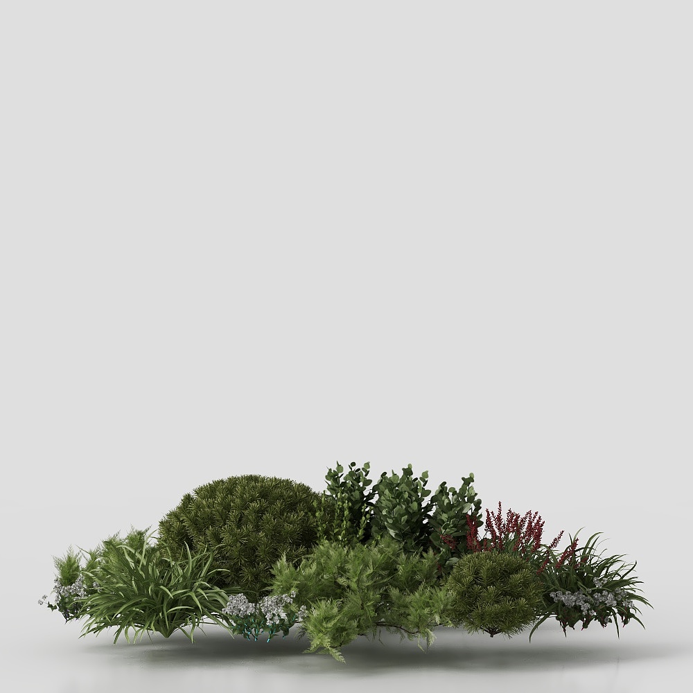Plant-Shrub Combination-1-YJ