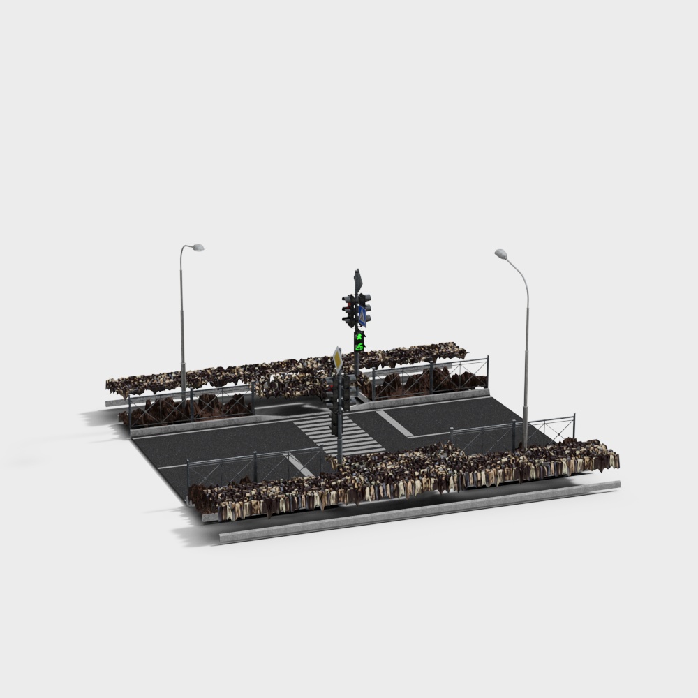 tratti di strada e attraversamenti stradali