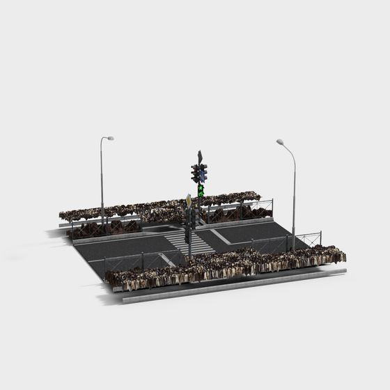 tratti di strada e attraversamenti stradali