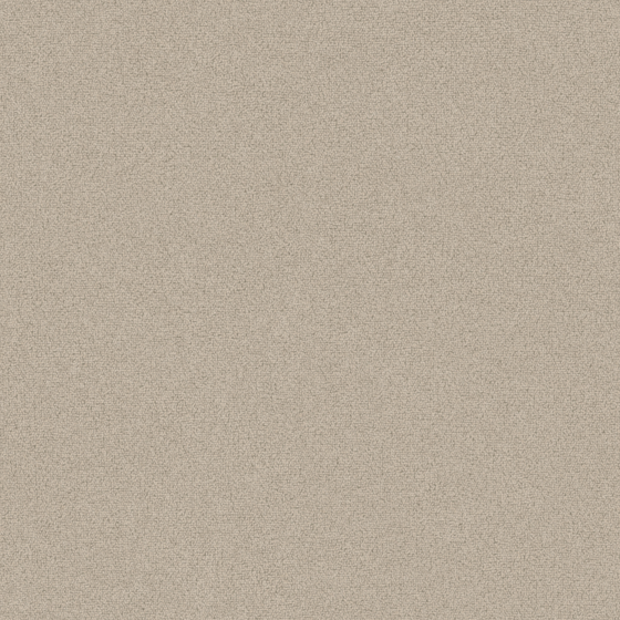 Soft Gray Carpet 3D Model for Interiors