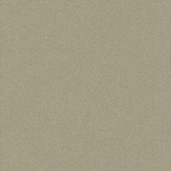 Gray Carpet 3D Model