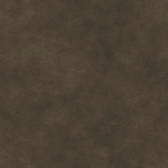 Leather - Coffee - highlights