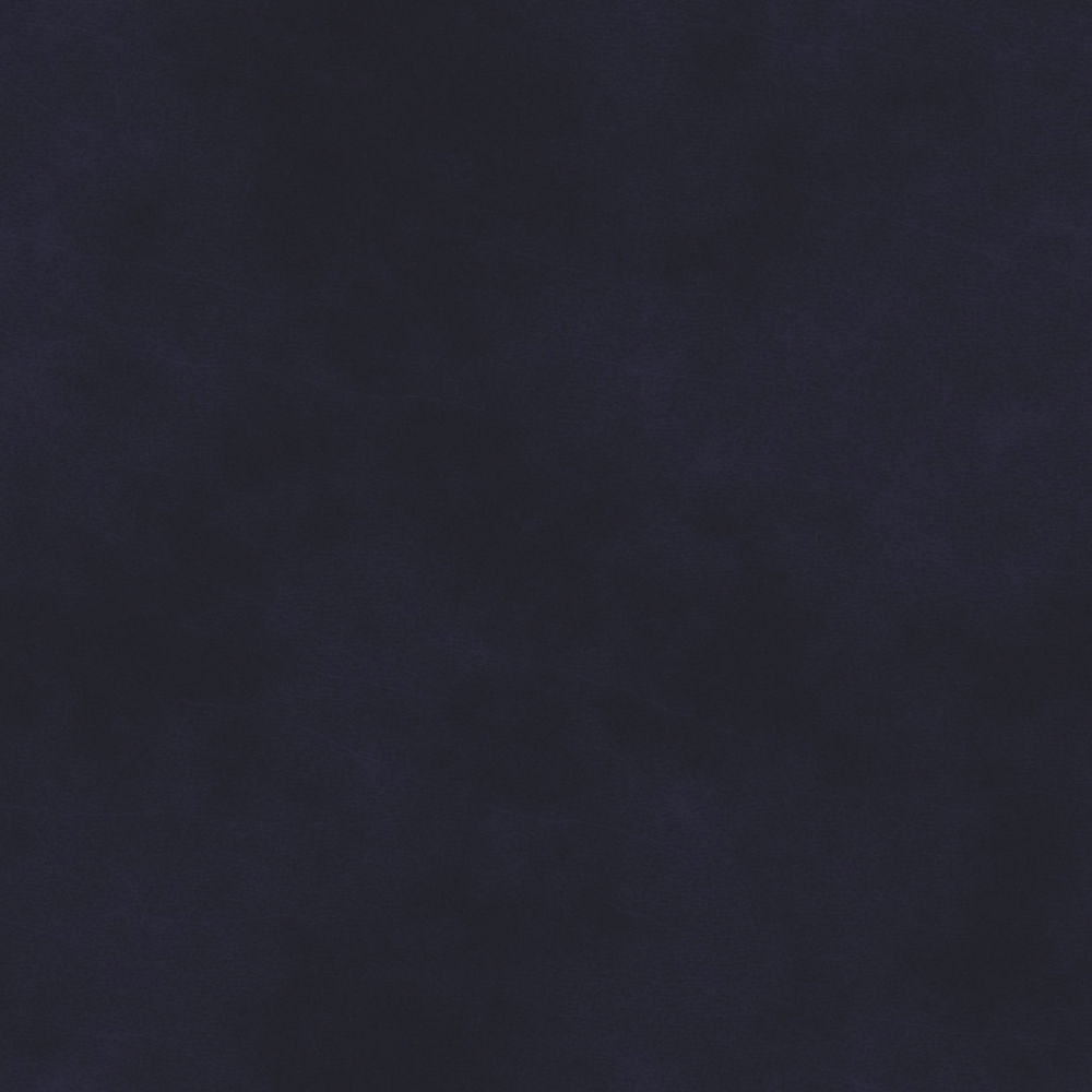 Leather - black - highlights