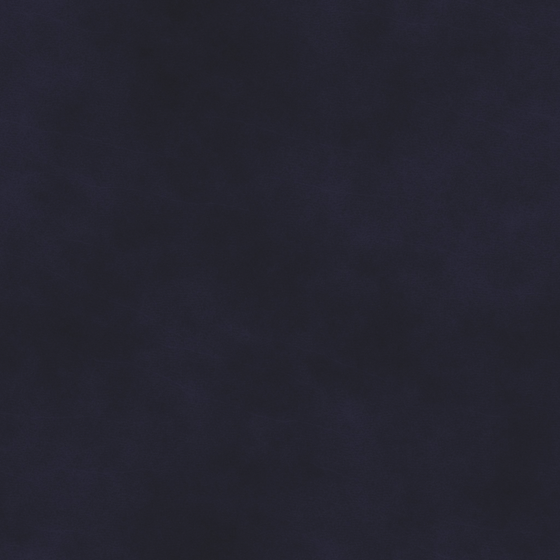 Leather - black - highlights