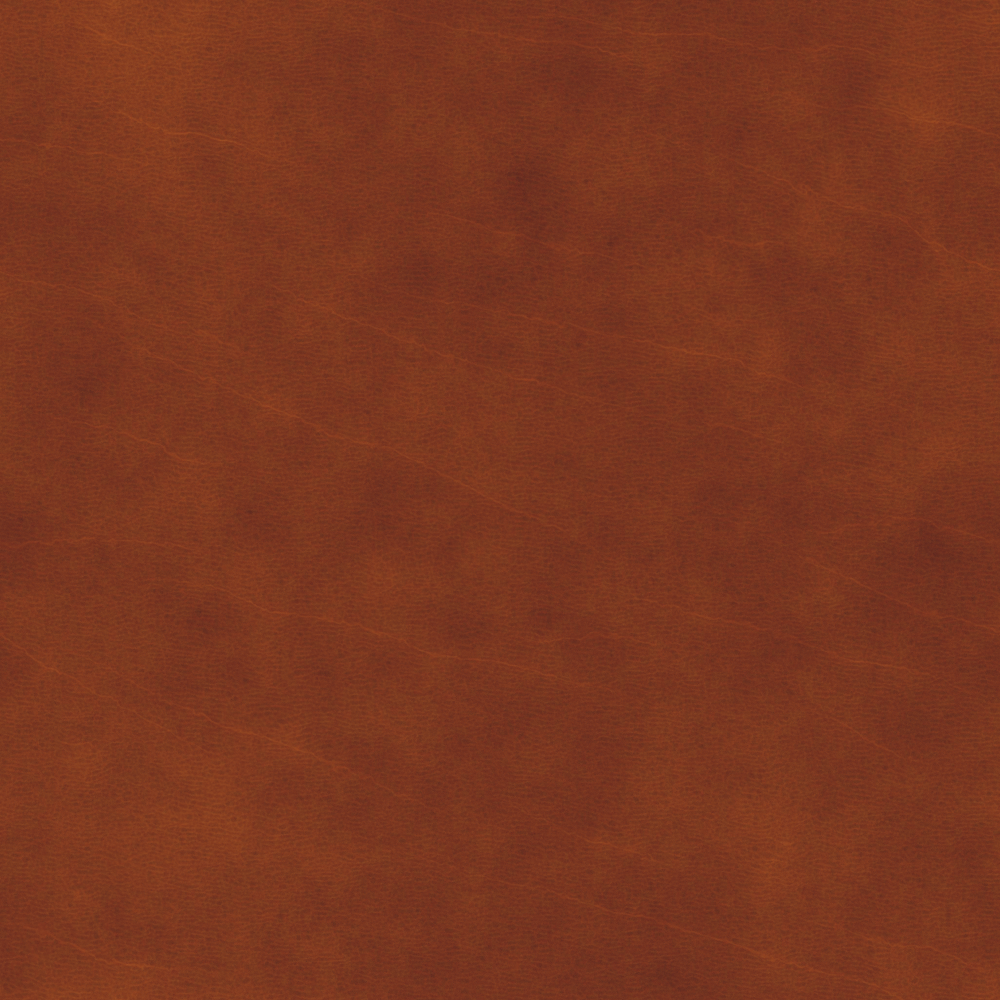 Leather - ochre - Highlights