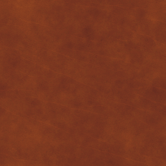 Leather - Ochre Highlights 3D Model in Brown