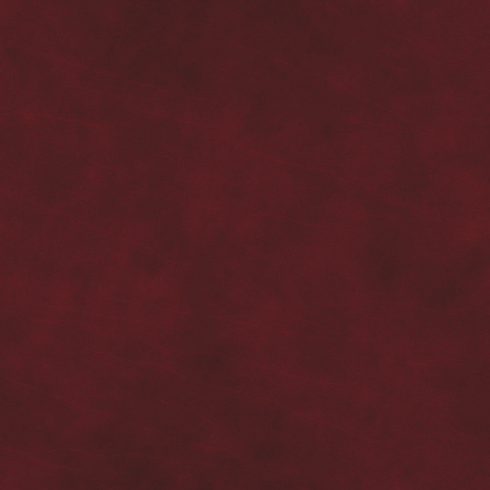 Leather - deep red - highlights