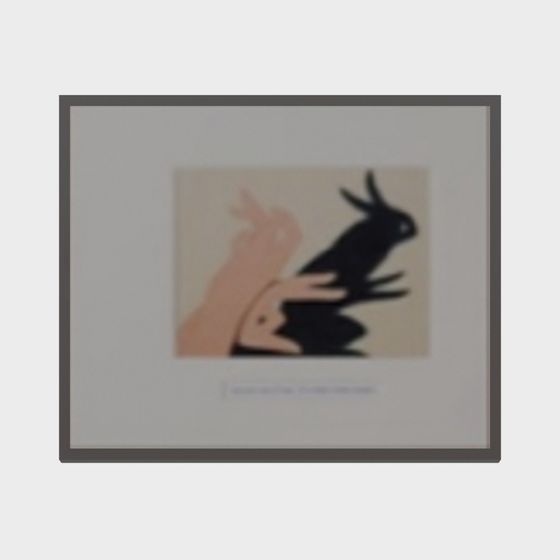 Shadow Dancer 3D model