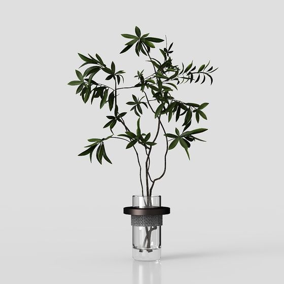 Minimalist Green Plant Arrangement 3D model