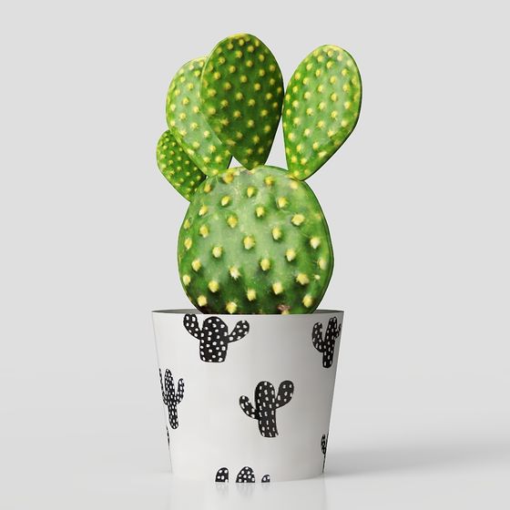 선인장 녹색 식물