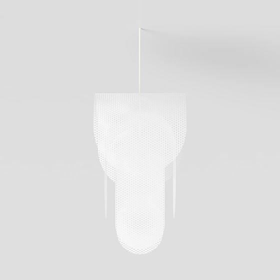Elegant Luminous Pendant Light 3D model