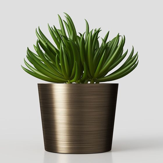 พืชสีเขียวแบบง่าย