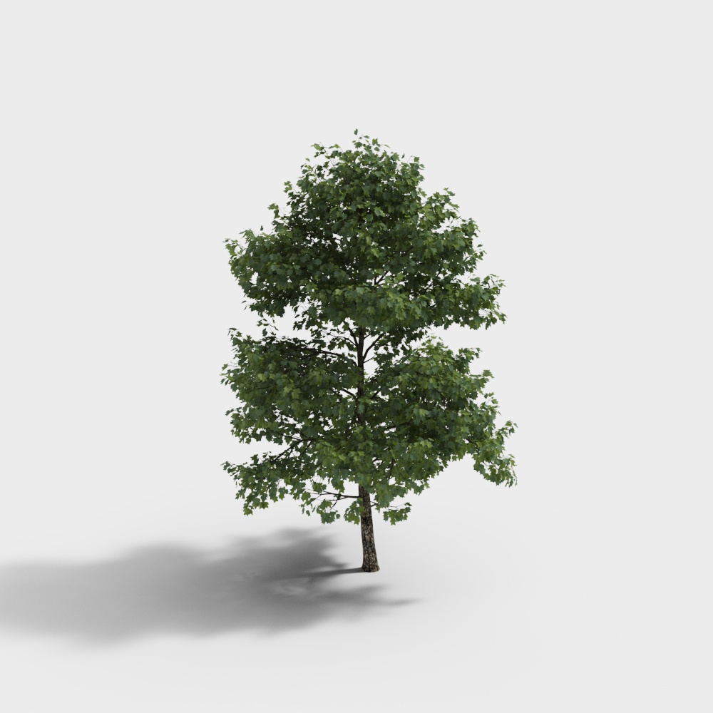 Tree-2301208-2-YJ