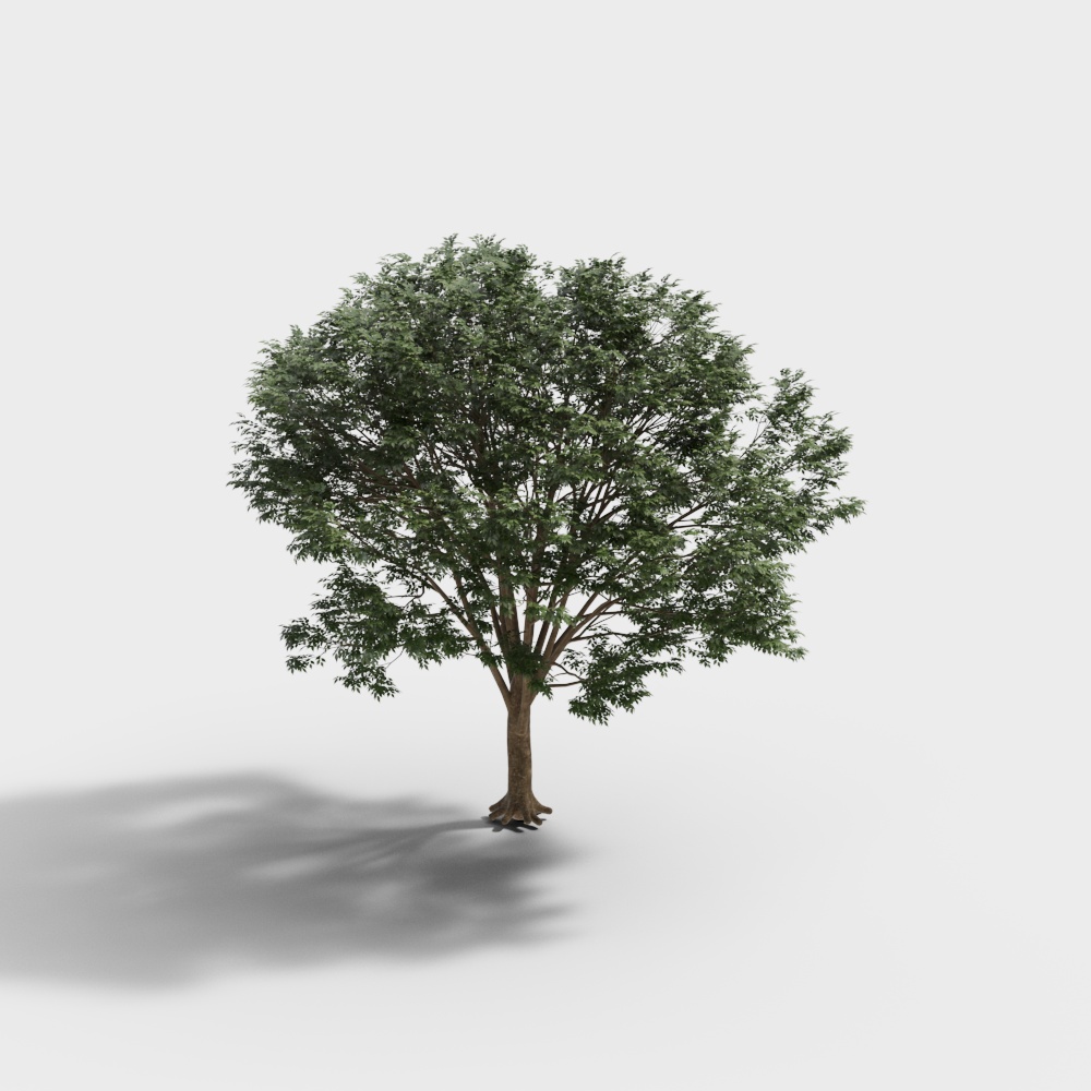Tree-231228-2-YJ
