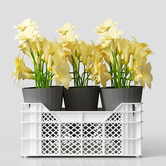 Low-Polygon Floral Transport Box 3D model