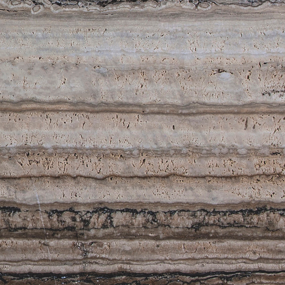 Pork Belly Marble Highlights 3D Model in Black