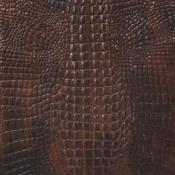 Brown Alphenberg Kaiman Tan Soft Material 3D Model