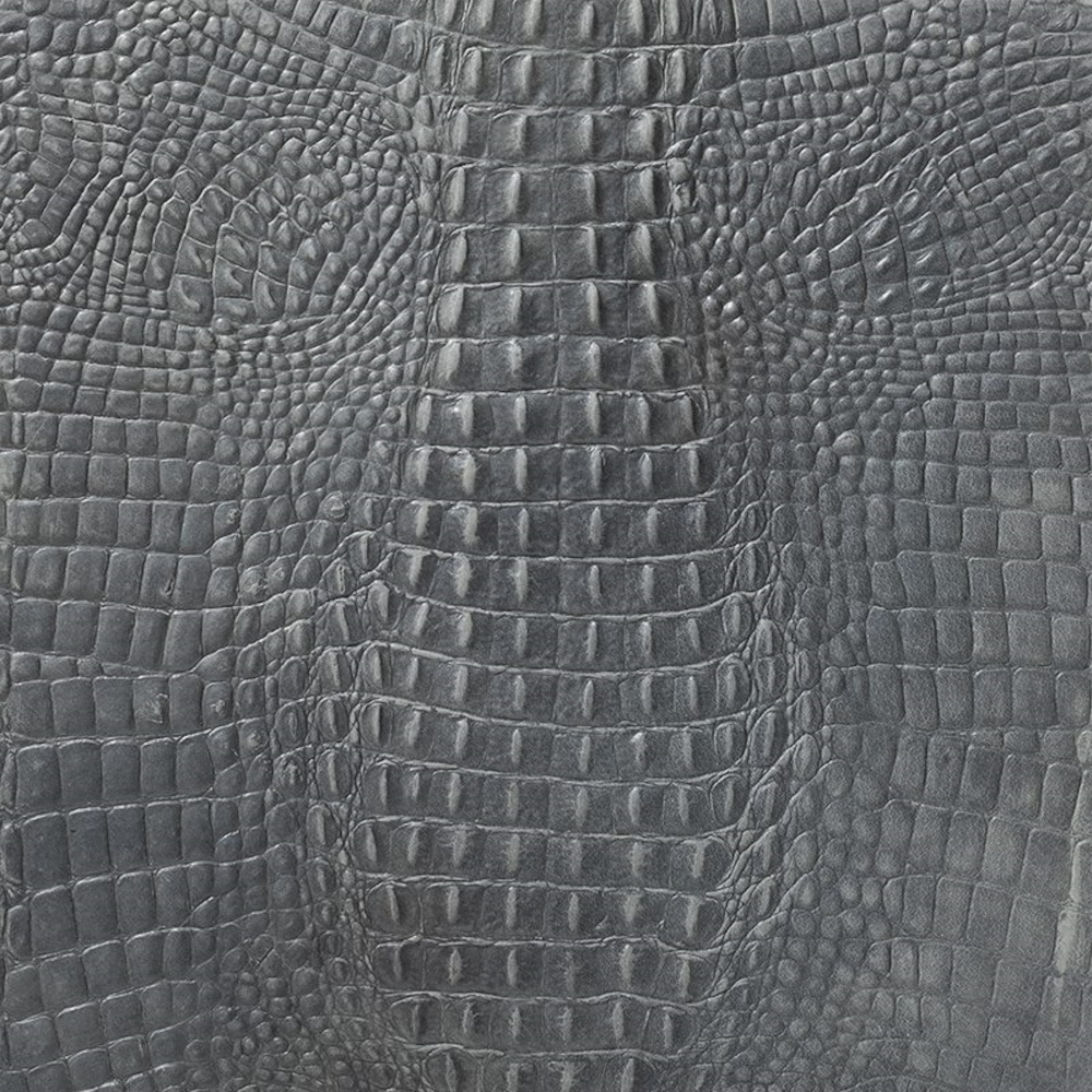 アルフェンベルグカイマングレー