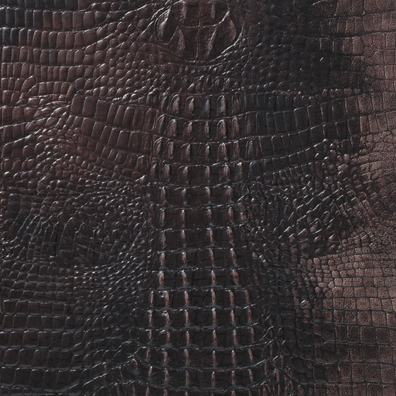 ALPHENBERG Kaiman Moro 3D Model in Black