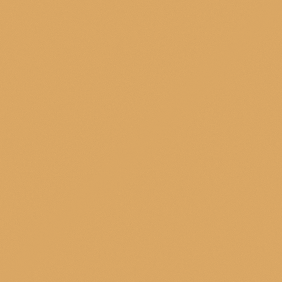 Chic Wood Color Carberry Cigarette Butt Wall Paint 3D Model