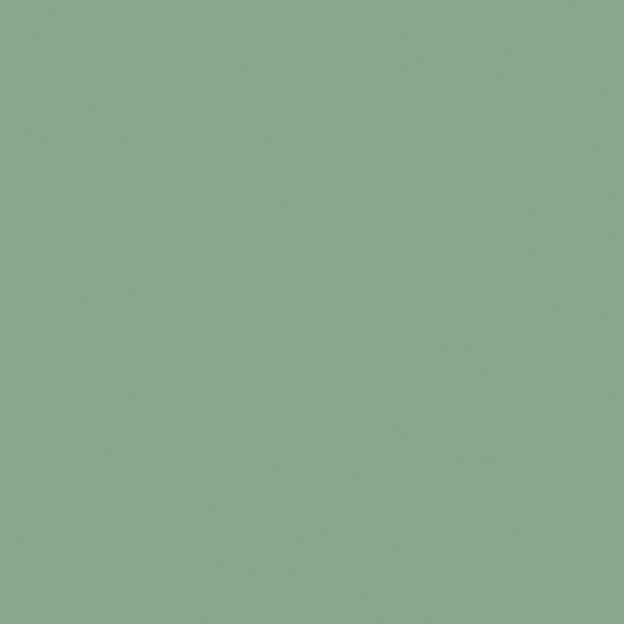 Green Carpolly One Leaf Canoe Wall Paint 3D Model