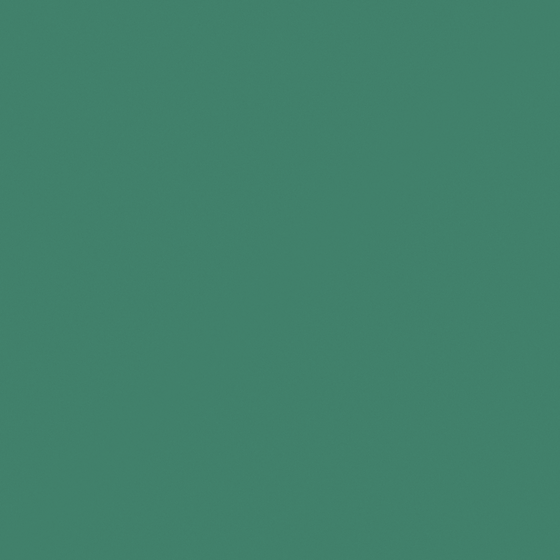 Carpolly Algae Mud M2363-A G 96 46 53