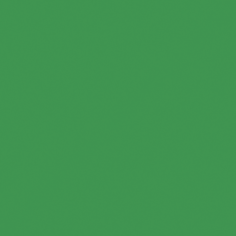 Green Carpoly Grass & Wood Wall Paint 3D Model