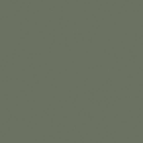 Carpolly Brooklyn Green A50106-D GY 51 45 13