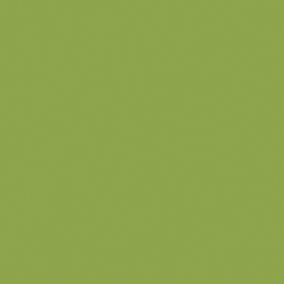 Carpol Willow Beach 3D Model in Green