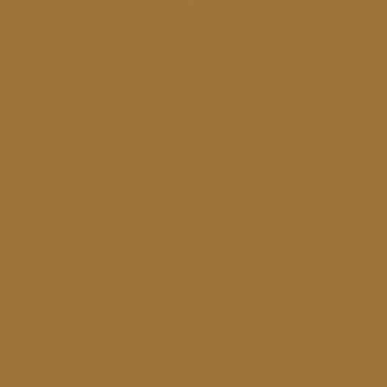 Carpolly Amber 3D Model for Wall Paint