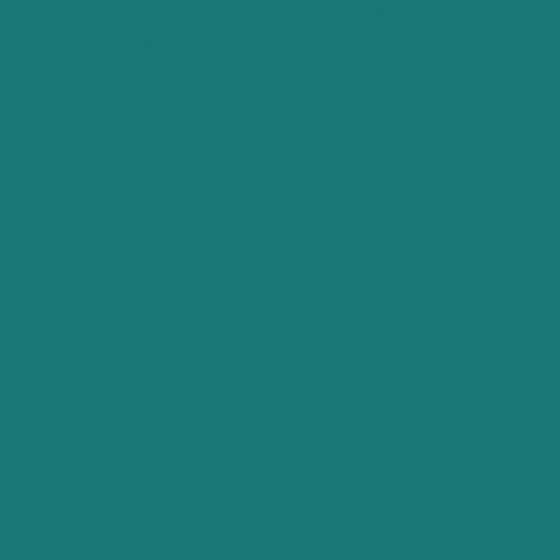 Carberry Hawaii A5073-A BG 82 42 63 3D Model in Green