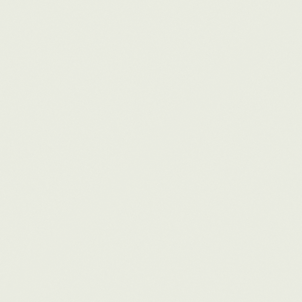 Carberry Egg White N3169-P Y 66 88 06