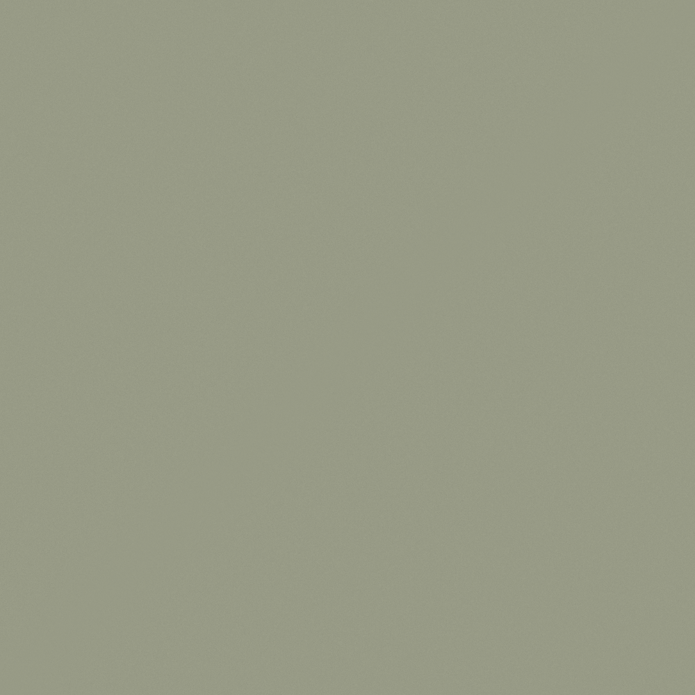 Carpoly Bean Green N3209-T GY 19 60 14
