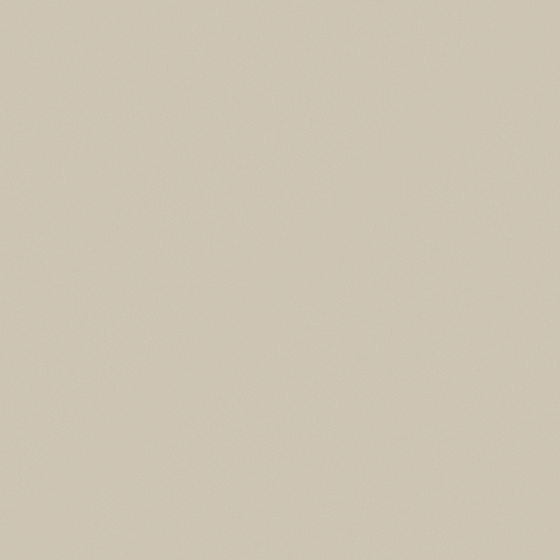 Warm Beige Wall Paint 3D Model