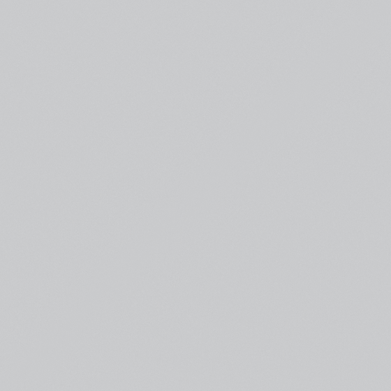 Carbeluga White Wall Paint 3D Model
