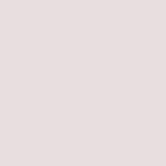 White Carpolly Wall Paint 3D Model for Modern Spaces