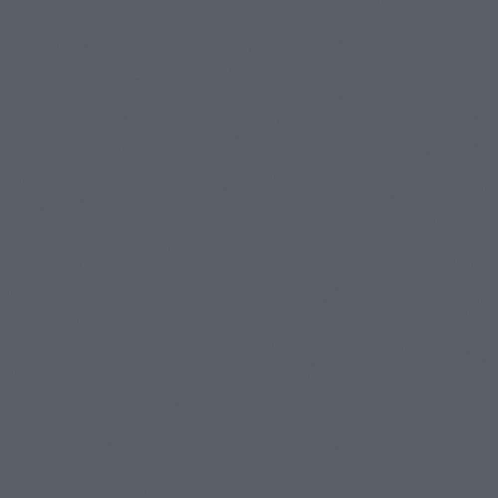 Carpolly Violet N3392-A P 14 38 19