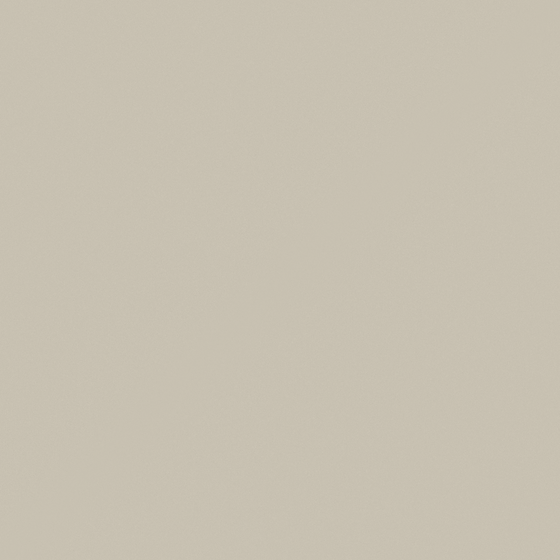 Carpoly White Wall Paint 3D Model