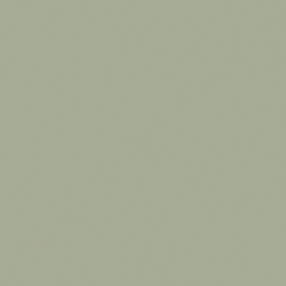 Elegant White Wall Paint 3D Model