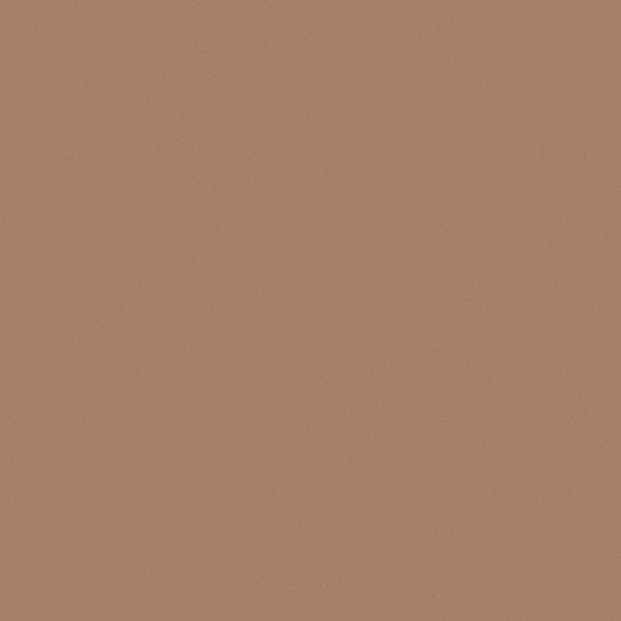 Wood Color Cacao Paint 3D Model