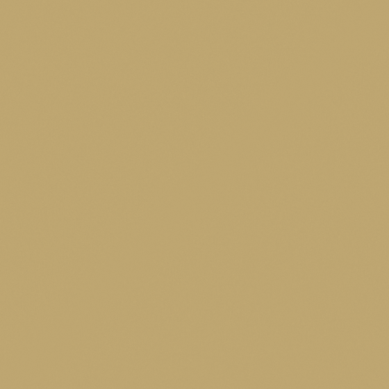 Carpolly Curry N3195-D Y 35 66 43